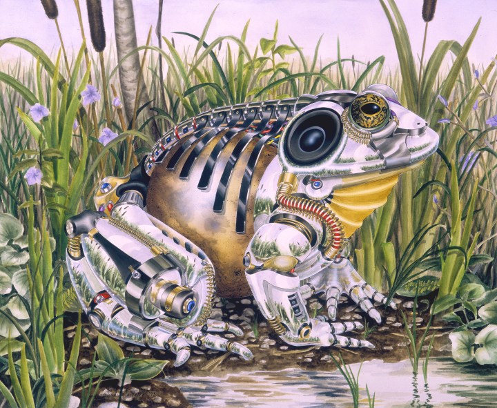 Amphibious (watercolor 1993)