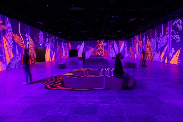 art & the city oasis immersion. Expo Inspirations