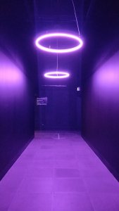 entrance Oasis immersion. Photo: Alexandra Margs