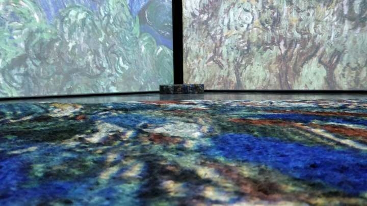 Imagine Van Gogh Montreal 2019. Photo: Alexandra Margulescu