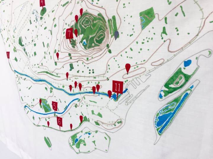 Photo of Wild City Mapping